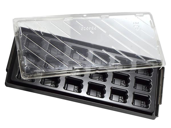 Blister und Einwegtrays